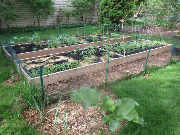 Main Vegetable Garden on May 27th, 2014